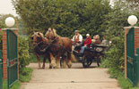Kutschfahrt
